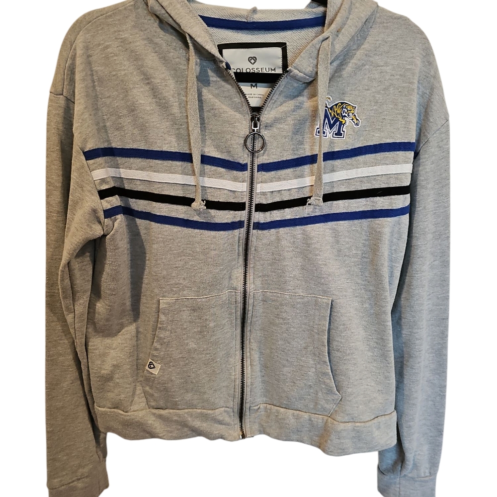 Gray Zip-Up Hoodie with Blue and Black Stripes